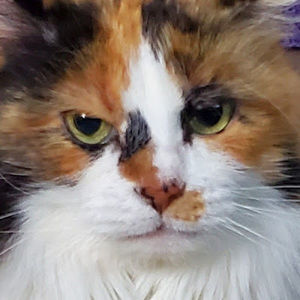 Meet your Posher, Maria